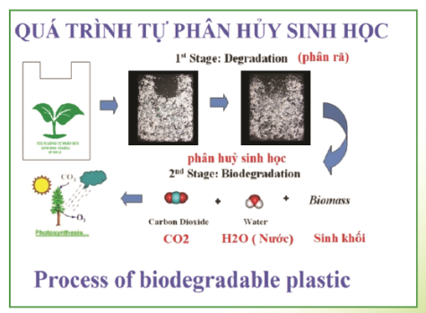 Biodegradation process